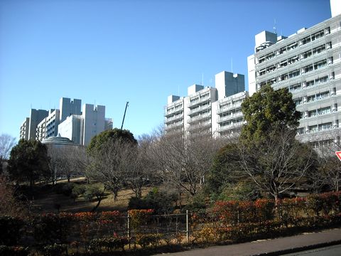Tokyo institute of technology